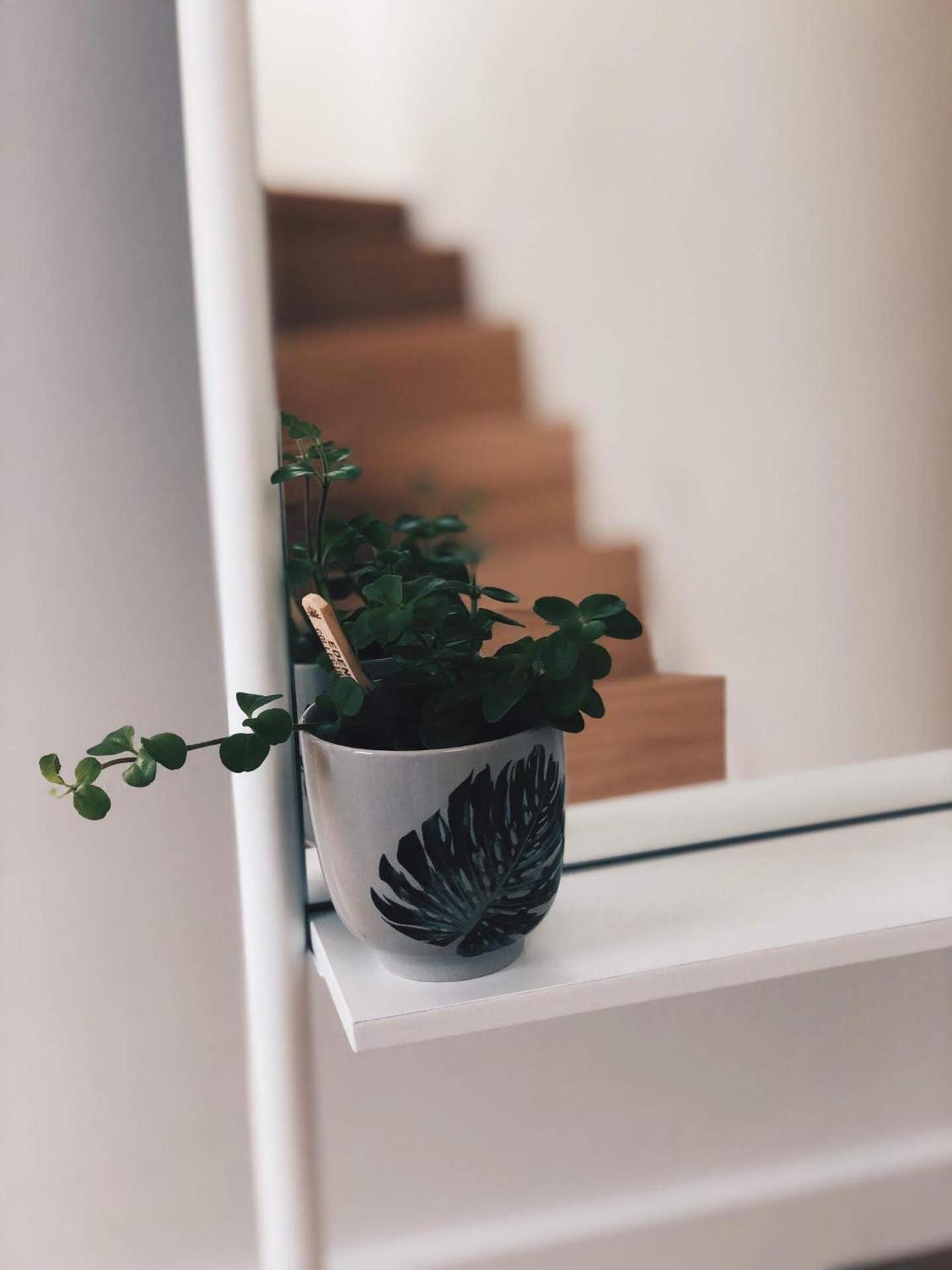 Penthouse La Naturale Zeezicht Brugge Bagian luar foto